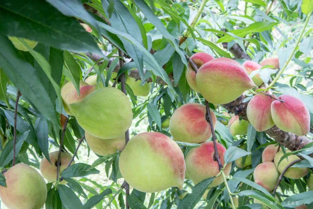 ��ũ�������Դӥ�������óԡ��ҡ�������