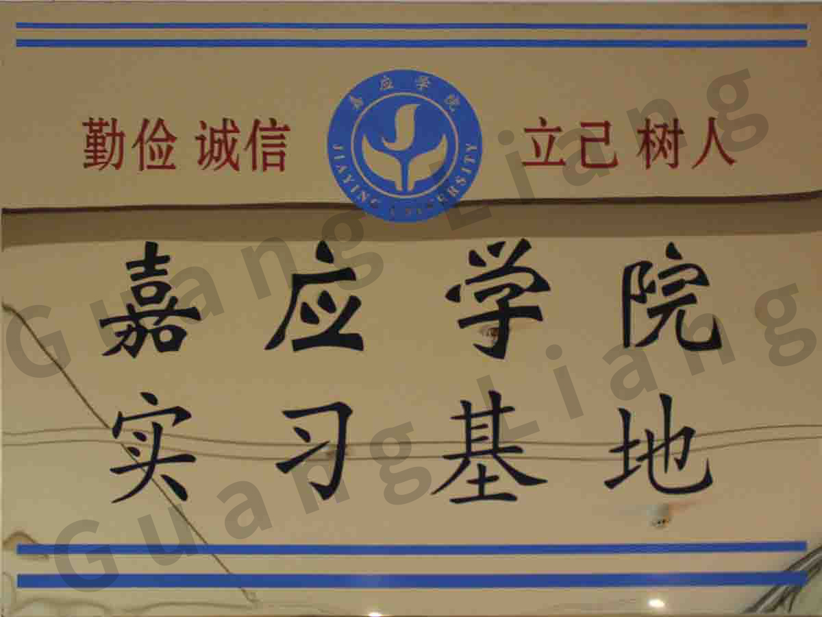 ��ӦѧԺʵϰ����