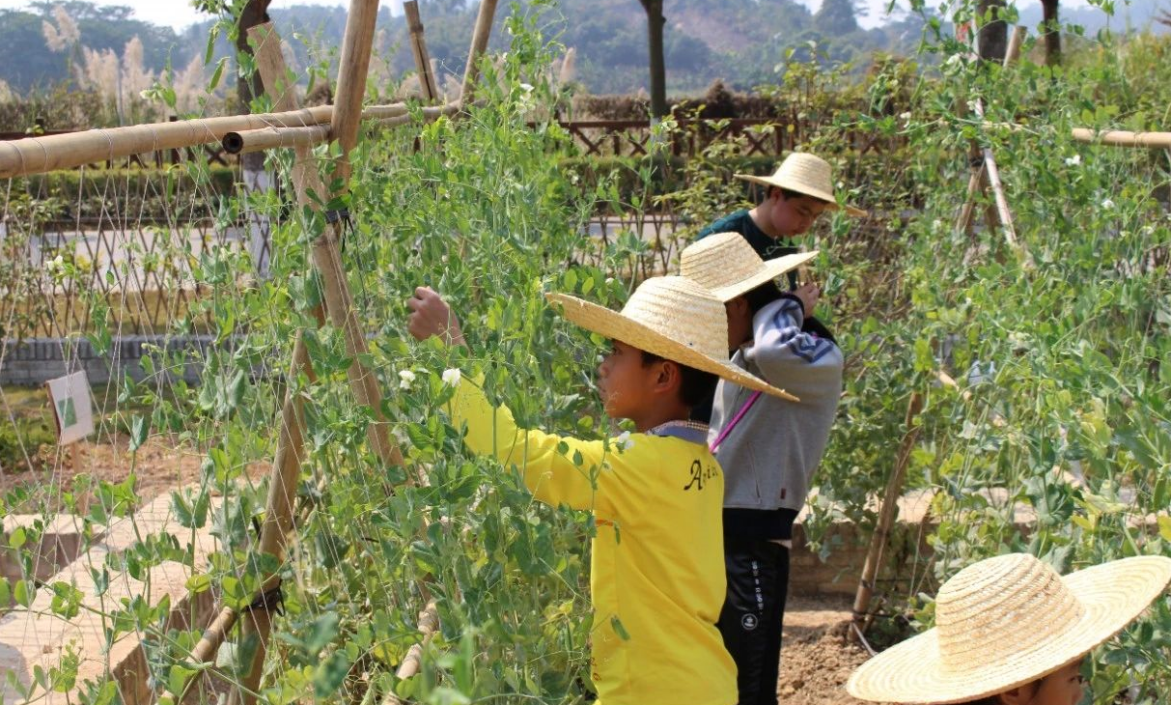 Ա�����ح����̬��һ����