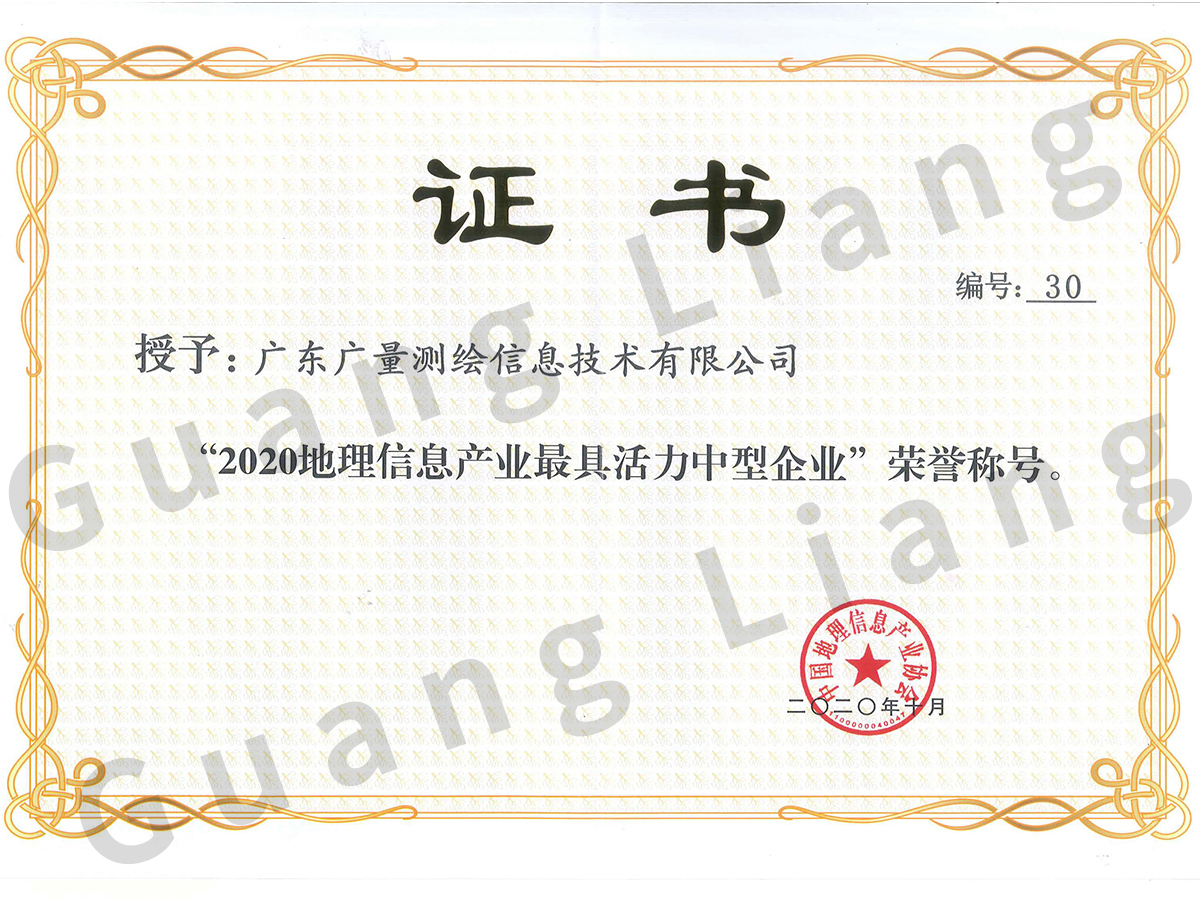 2020�������Ϣ��ҵ��߻���������ҵ